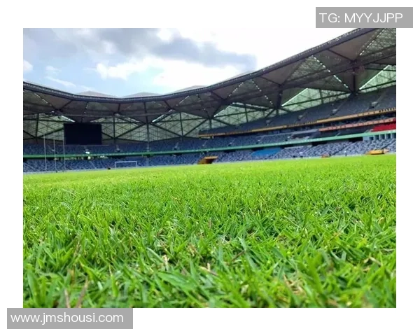 足球洋荷的魅力与激情探秘：从场上风云到球迷文化的深度解析